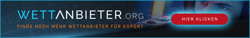 eSports Spieler an Pcs.